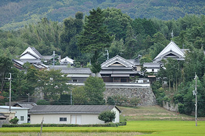 伝統的な大和棟の農家住宅（左右の屋根が急傾斜の建物）がある富雄川沿いの旧集落