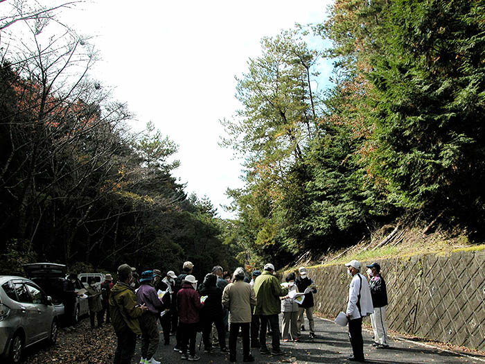 山添村のメガソーラー計画地の近くで貴重な動植物について解説を受ける見学者。三重県境が近い＝2021年11月7日