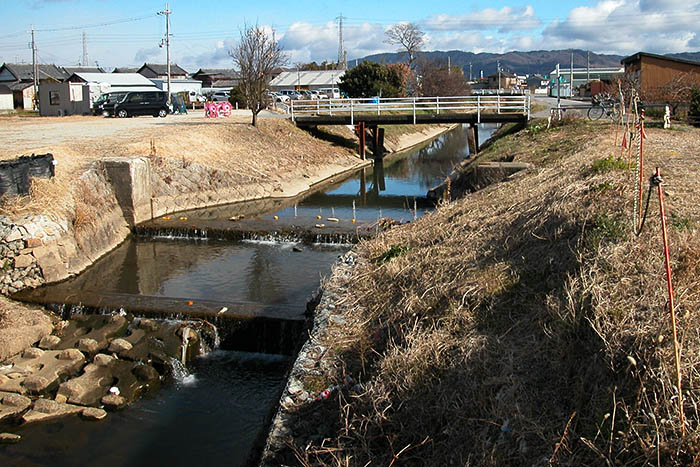堰が撤去された地蔵院川＝2022年1月22日、奈良県大和郡山市下三橋町