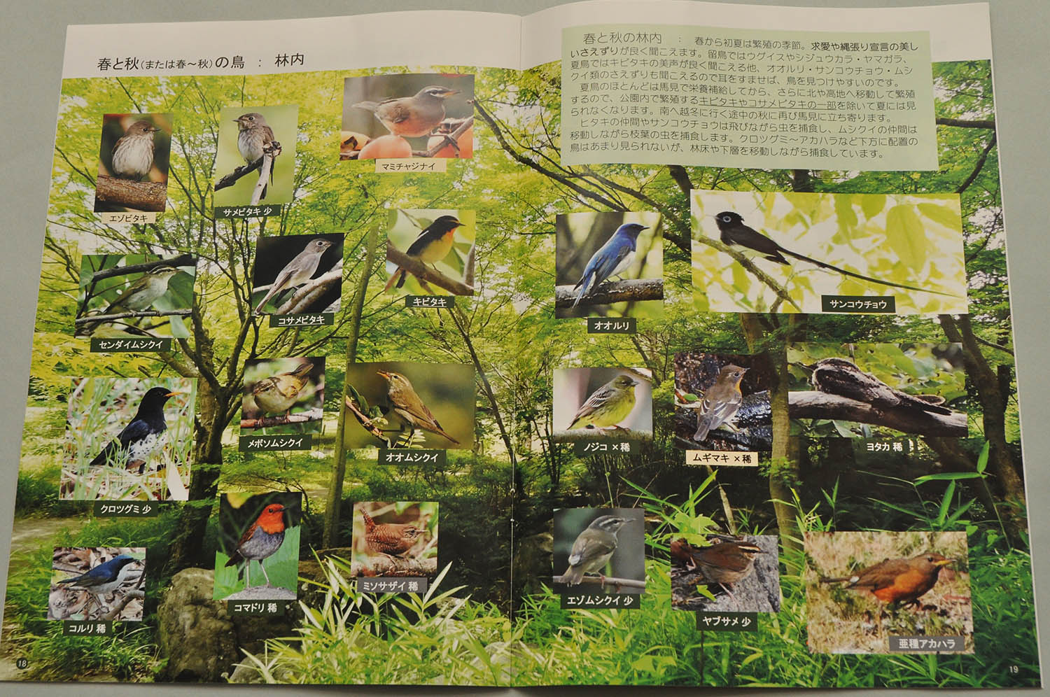 馬見丘陵公園で見られる野鳥の写真集（2021年12月「野鳥にやさしい馬見丘陵公園をめざす会」発行）