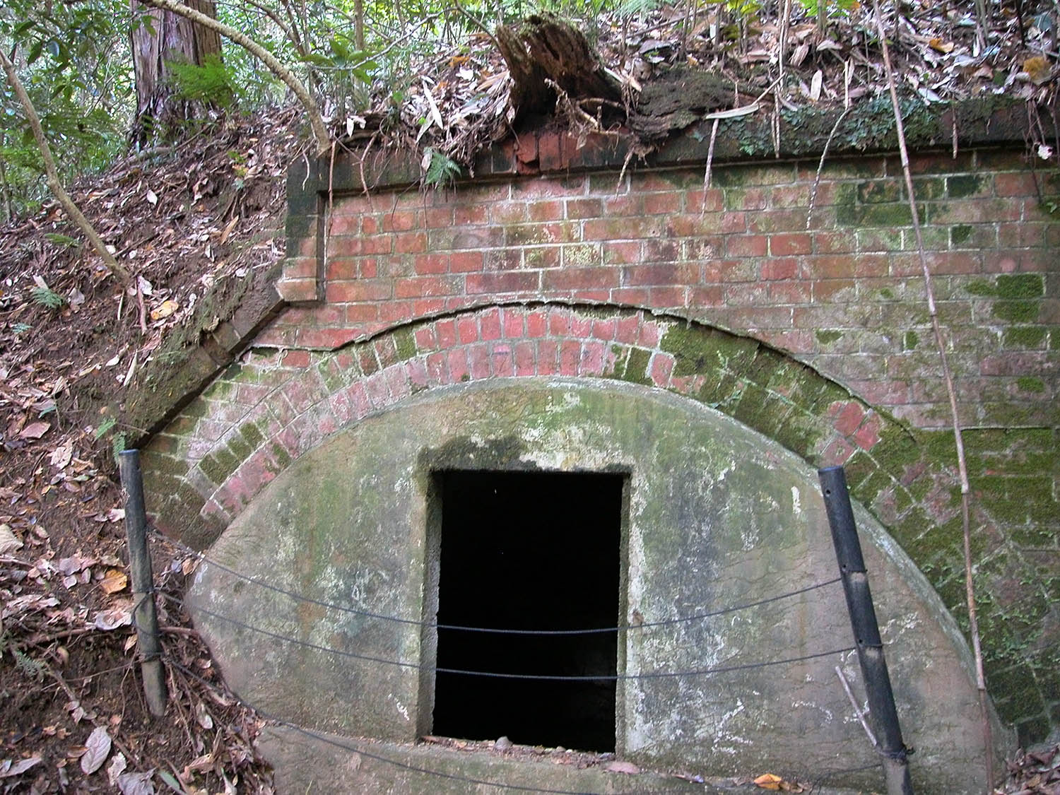 洞集落の人々が利用していた共同の井戸。今も水が湧いている＝2022年12月、奈良県橿原市内