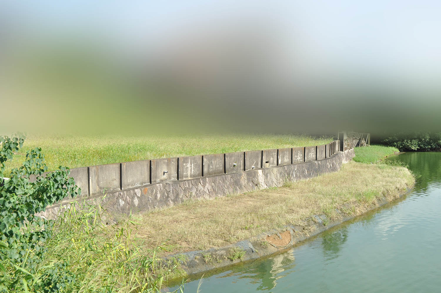 宅地に面した池の一部が埋め立てられた大渕池。手前の一段低い棚状の所が埋め立てられた部分＝2022年9月12日、奈良市（写真の一部を加工しています）
