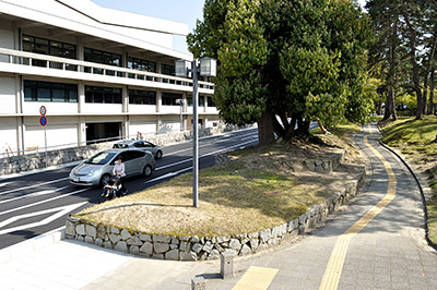 歩道が撤去された奈良市道（左）と奈良県が歩道の代替機能を果たせるとする県文化会館の広場通路（右）