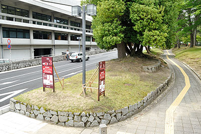 歩行者を奈良県文化会館広場通路（右）に誘導するため、新たに設置された看板