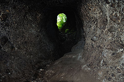 屯鶴峯地下壕の急勾配の小さな出入り口。外に森の緑が見える