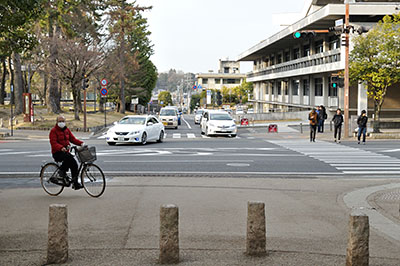 奈良県庁西交差点。中央が歩道が撤去された奈良市道で、左側の県文化会館広場木立の手前に横断歩道が増設される。右側は既存の横断歩道と県庁＝2016年3月16日、同市登大路町