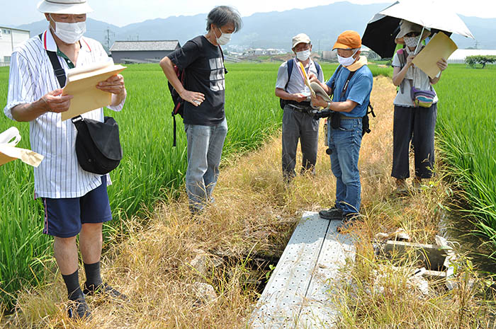 柳本飛行場の滑走路の暗渠跡（足元の水路）を見学する参加者＝2020年8月6日、奈良県天理市