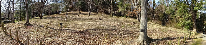 下草や低木がすっかり刈られた馬見丘陵公園の丘＝2020年2月（竹下栄さん提供）