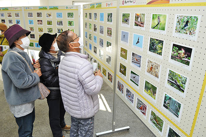 野鳥の写真に見入る人たち＝2021年12月11日、奈良県営馬見丘陵公園