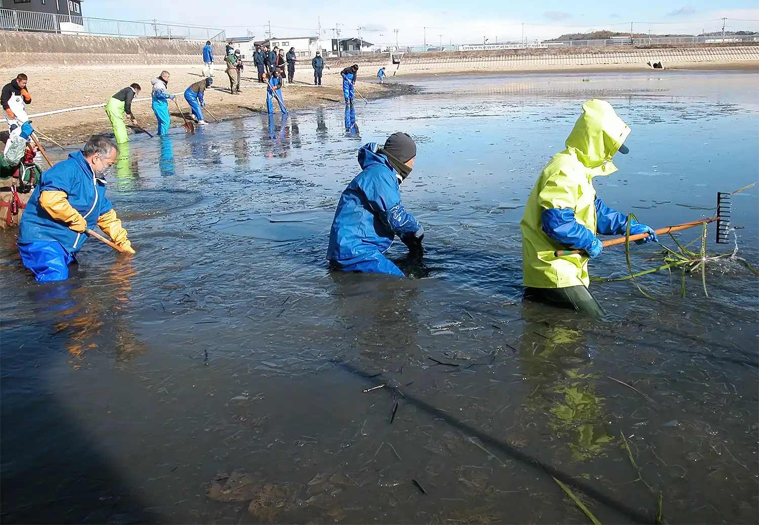 氷が張るため池の泥をかき出す人たち＝2025年2月8日、兵庫県明石市大久保町松陰、浅野詠子撮影