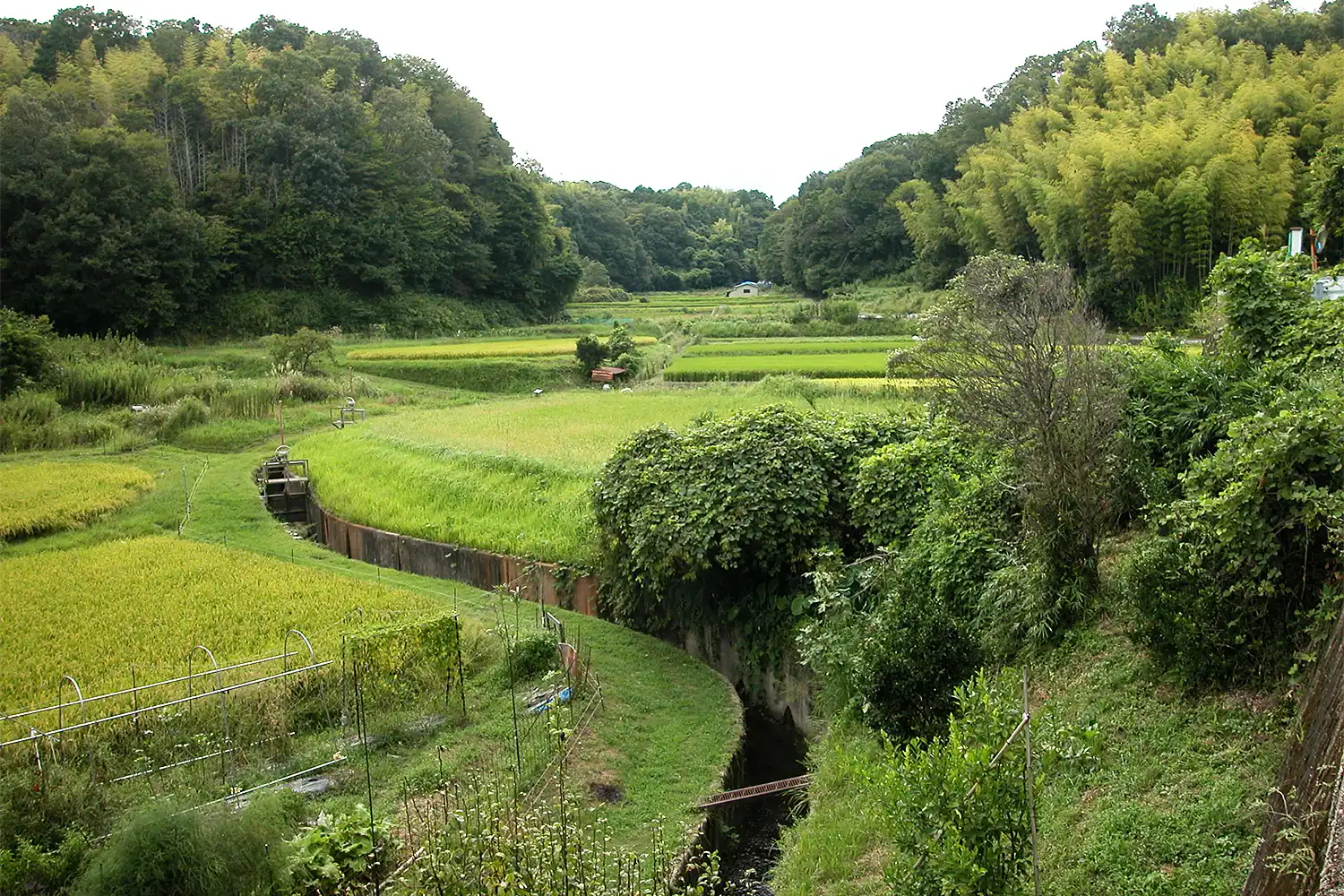 奈良県生駒市の旧傍示の農地。西隣、大阪府側の河内にも傍示村があった=同市高山町、2026年9月5日、浅野詠子撮影